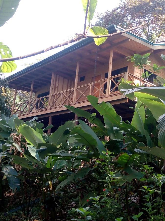אוביטה Forest Lodge מראה חיצוני תמונה