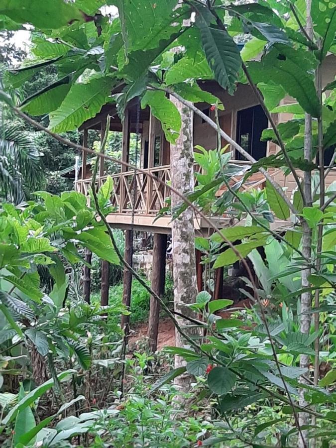 אוביטה Forest Lodge מראה חיצוני תמונה
