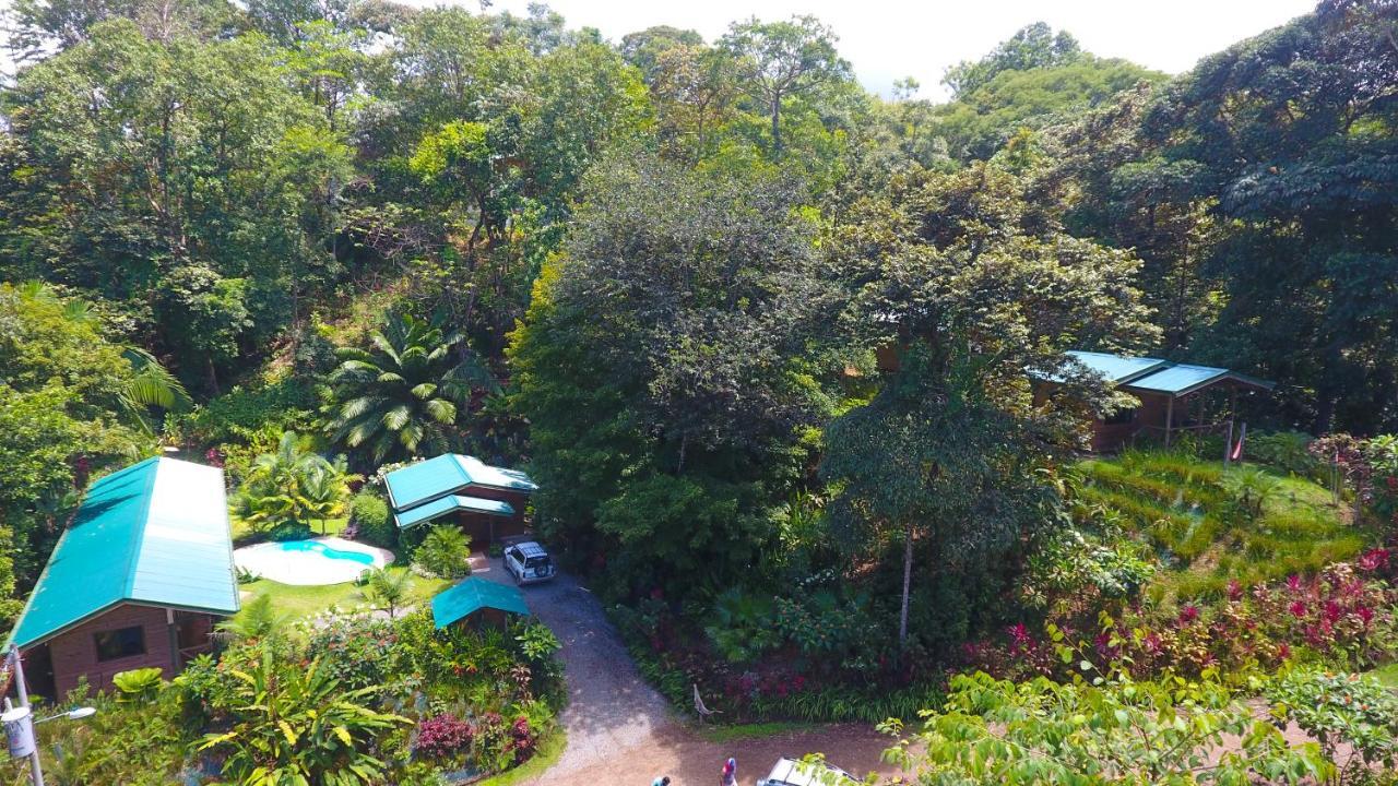 אוביטה Forest Lodge מראה חיצוני תמונה